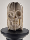 19th Century Memento Mori Janus Head Carved Bone Skull